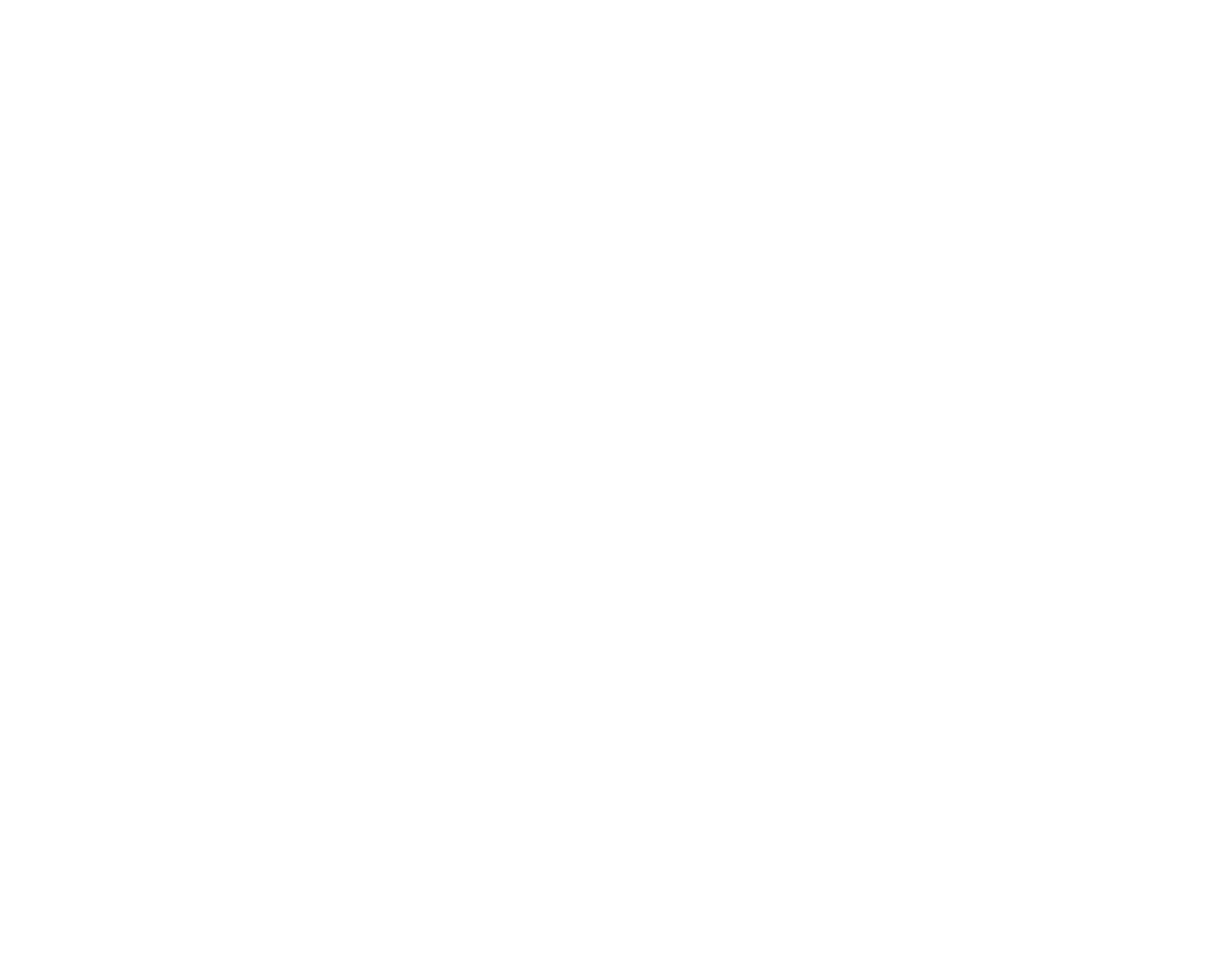logo-amchan
